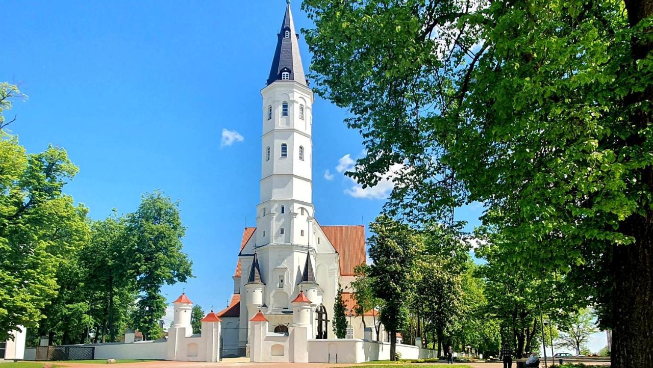 Apartment Next To Cathedral Of Saints Peter & Paul Šiauliai Eksteriør bilde